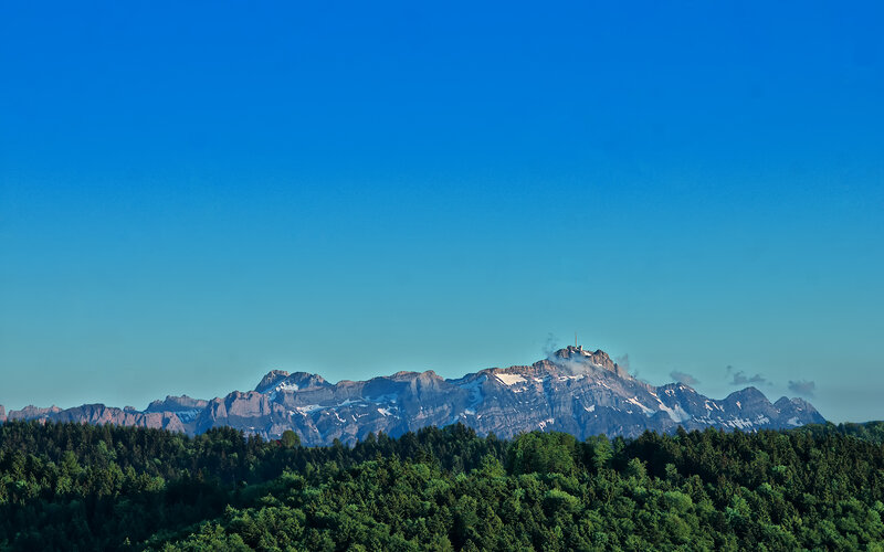 Mountain range with forest foreground