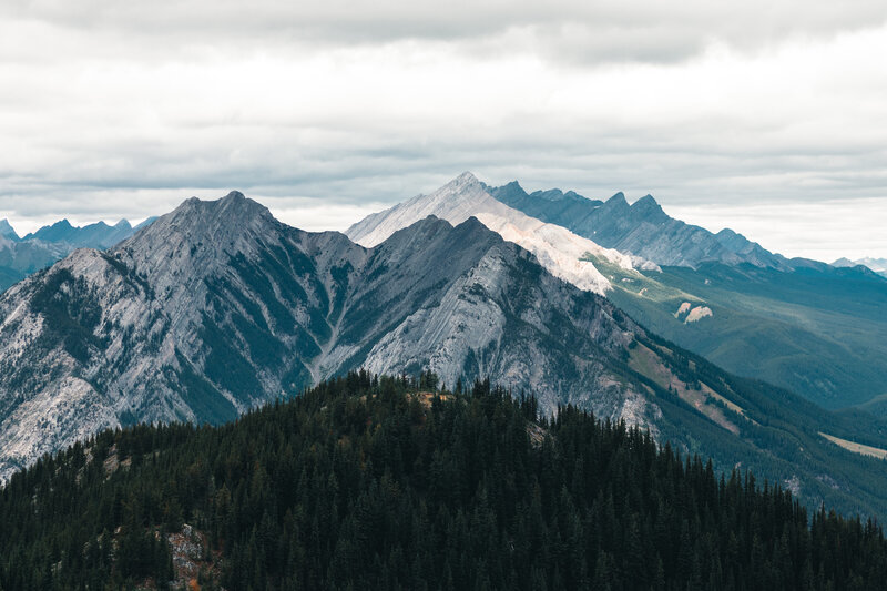 Mountain Range with Forest — Gray, Dramatic