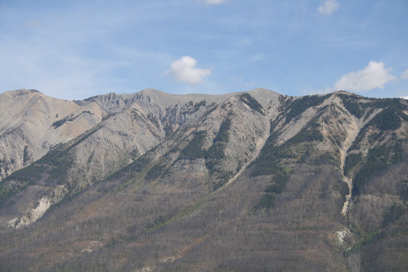 Mountain Range with Forest — Gray, Serene, Afternoon