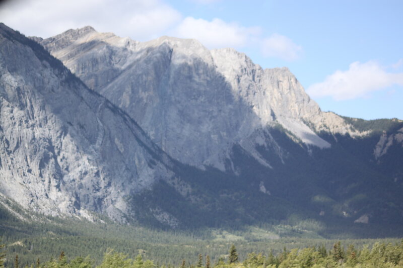 Mountain Range with Forest — Gray, Serene