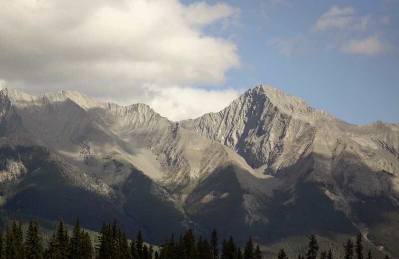 Mountain Range with Forest — Gray