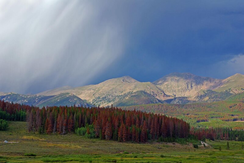 Mountain Range with Forest — Green, Dramatic, Afternoon, Photograph, Clouds