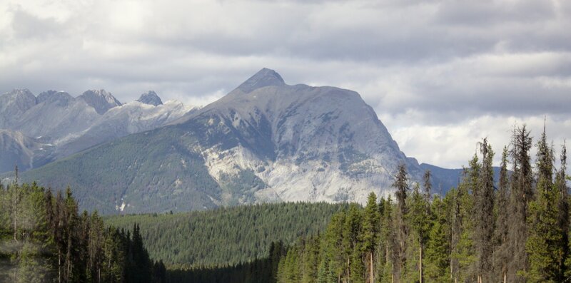 Mountain Range with Forest — Green, Dramatic, Afternoon, Photograph