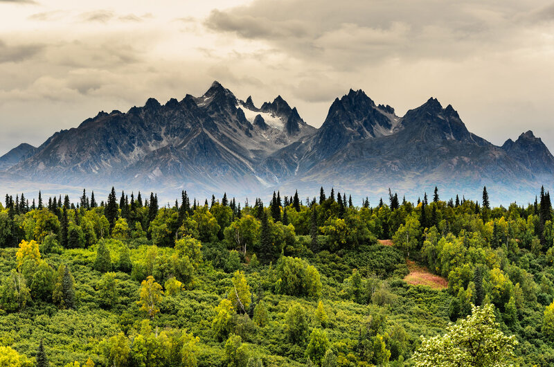 Mountain Range with Forest — Green, Dramatic, Afternoon, Photograph, Trees