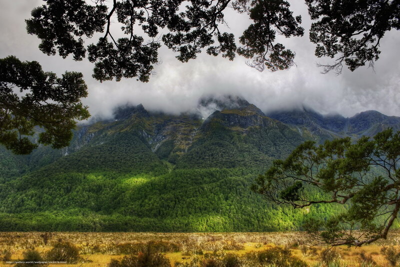 Mountain Range with Forest — Green, Dramatic, Photograph