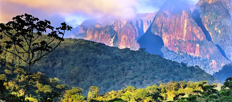 Mountain Range with Forest — Green, Dramatic, Sunrise