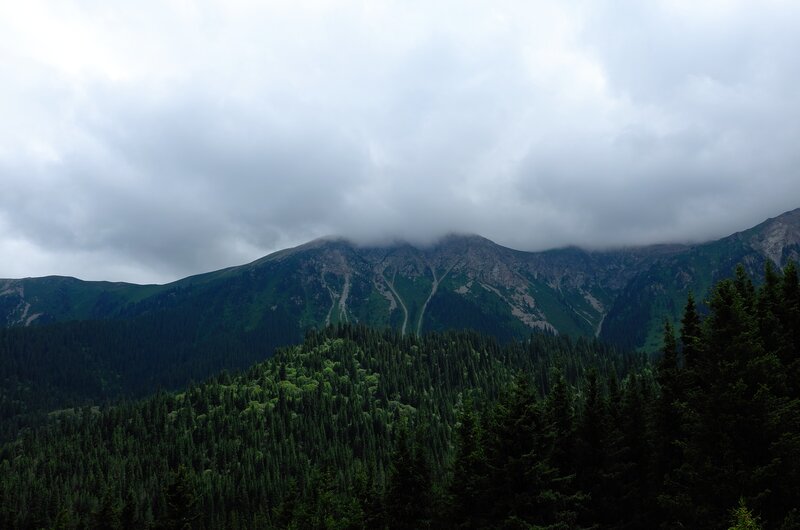 Mountain Range with Forest — Green, Overcast, Photograph, Clouds
