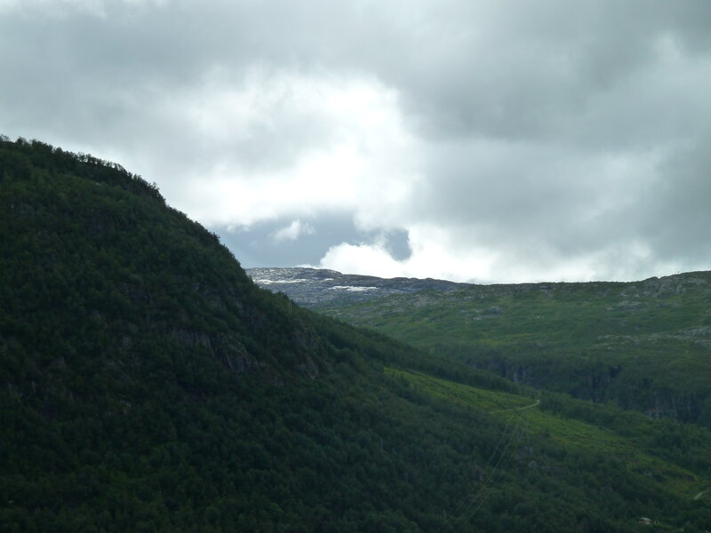 Mountain Range with Forest — Green, Overcast, Photograph