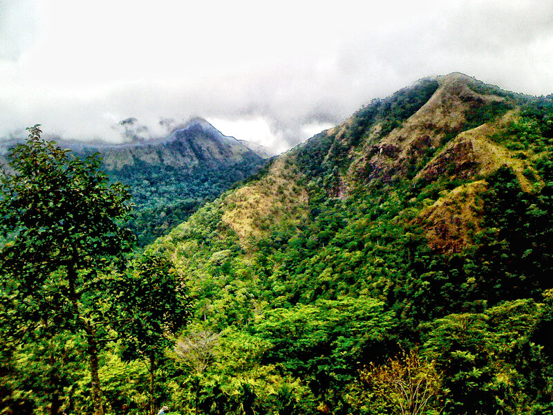 Mountain Range with Forest — Green, Overcast