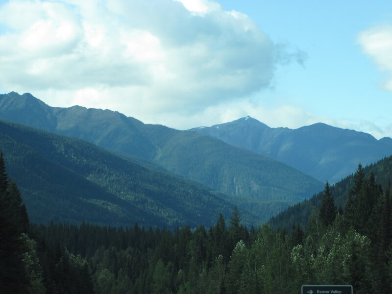 Mountain Range with Forest — Green, Serene, Afternoon, Photograph, Clouds, Sign