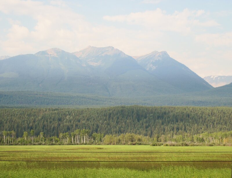 Mountain Range with Forest — Green, Serene, Afternoon, Photograph, Field