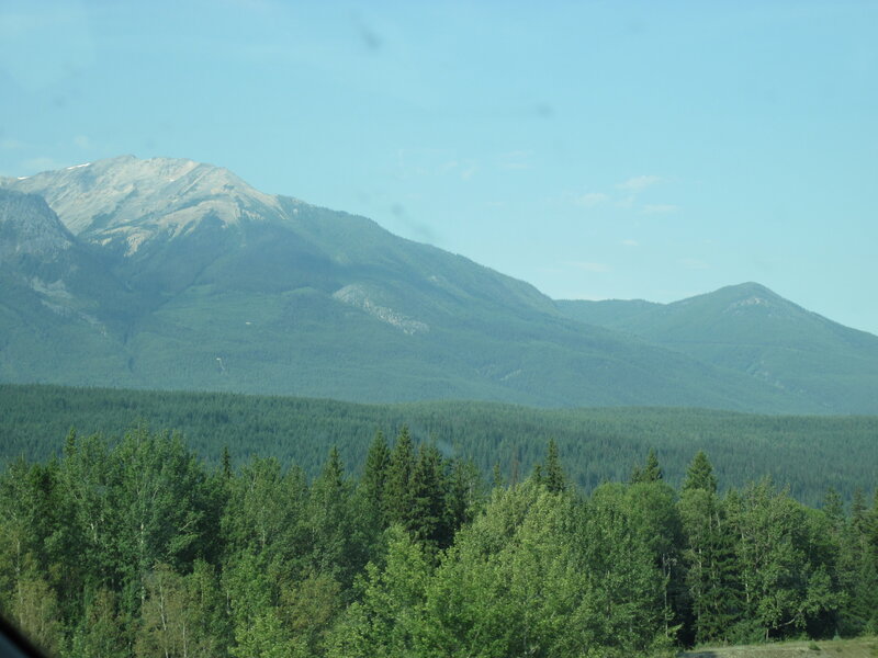 Mountain Range with Forest — Green, Serene, Afternoon, Photograph, Mountains