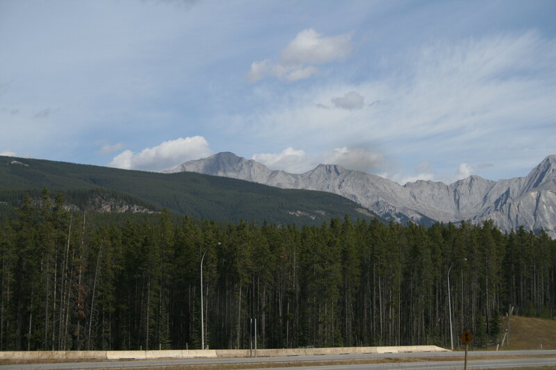 Mountain Range with Forest — Green, Serene, Afternoon, Photograph, Road, Street Light