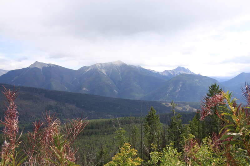 Mountain Range with Forest — Green, Serene, Afternoon, Photograph, Trees, Forests