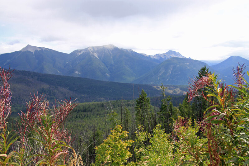 Mountain Range with Forest — Green, Serene, Afternoon, Photograph, Trees, Plants