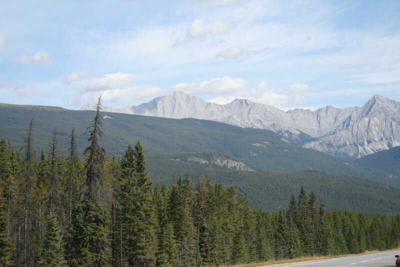 Mountain Range with Forest — Green, Serene, Afternoon, Photograph, Trees, Road