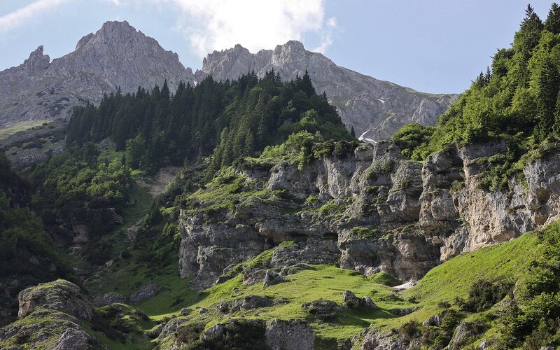 Mountain Range with Forest — Green, Serene, Afternoon, Photograph, Trees, Rocks