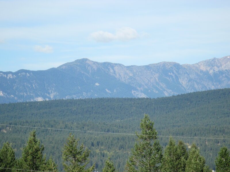 Mountain Range with Forest — Green, Serene, Afternoon, Photograph, Trees, Sky