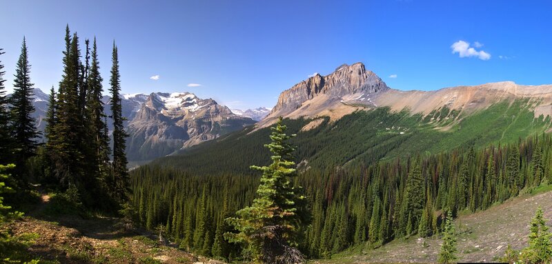 Mountain Range with Forest — Green, Serene, Afternoon, Photograph, Trees, Snow, Sky, Blue