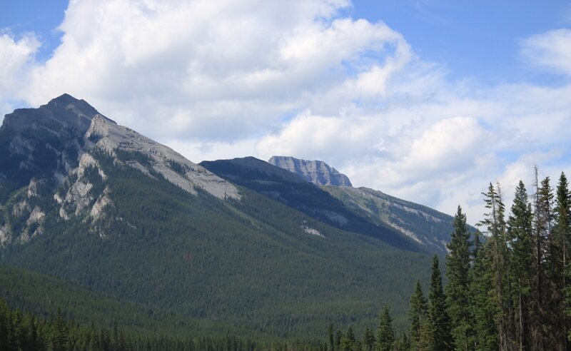 Mountain Range with Forest — Green, Serene, Afternoon, Photograph, Trees