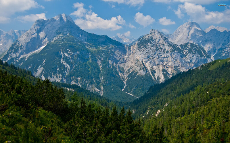 Mountain Range with Forest — Green, Serene, Afternoon, Photograph, Valley