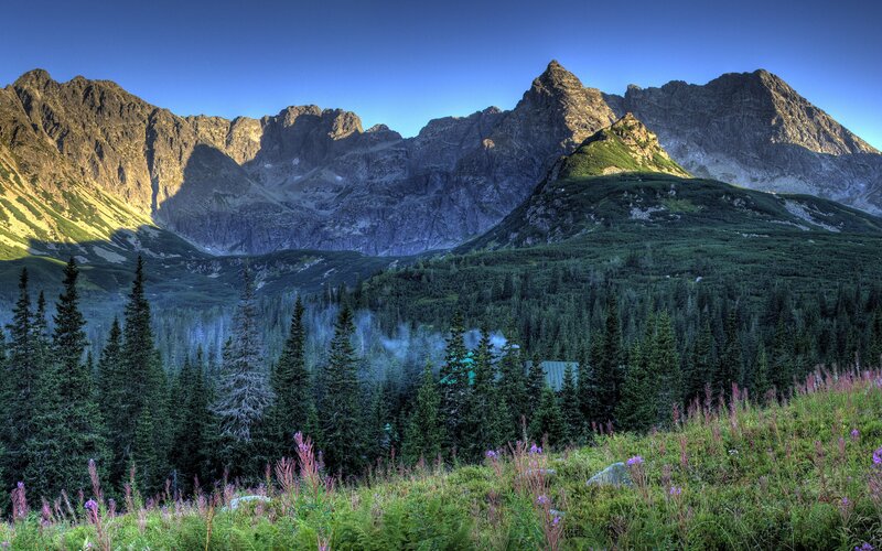 Mountain Range with Forest — Green, Serene, Morning