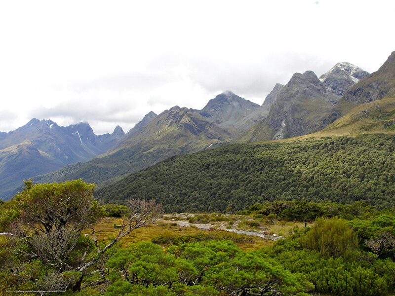 Mountain Range with Forest — Green, Serene, Photograph, River