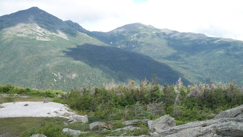 Mountain Range with Forest — Green, Serene