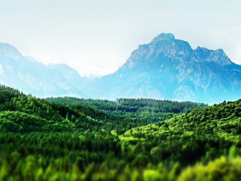 Mountain Range with Forest — Green