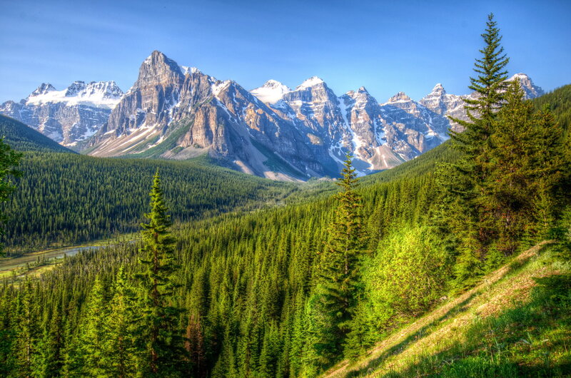 Mountain range with forest