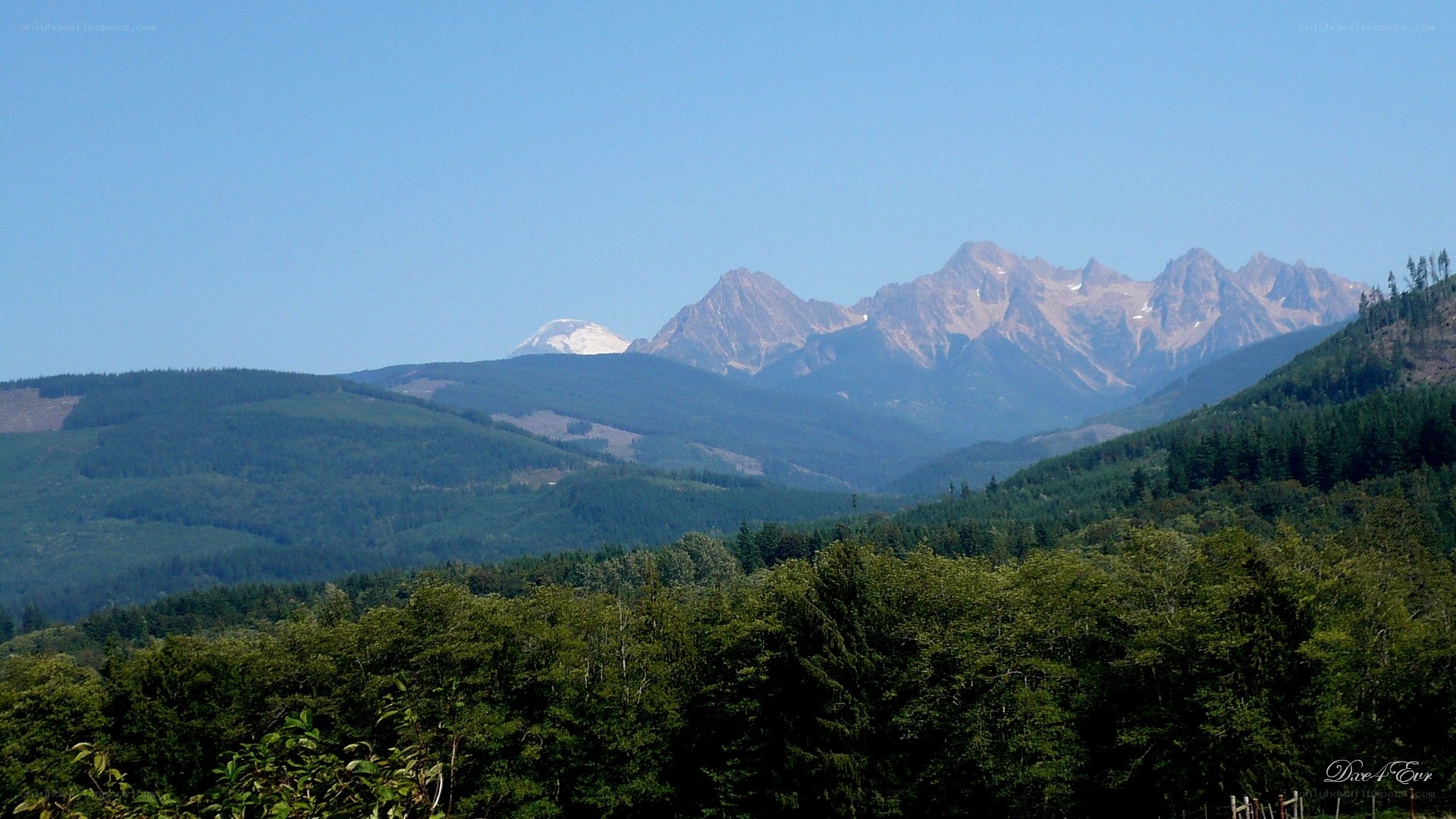 Mountain range with forested hills