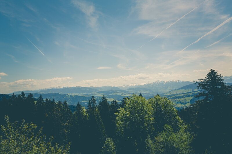 Mountain Range with Forests — Blue