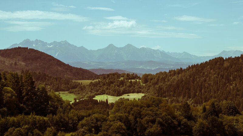 Mountain Range with Forests — Green