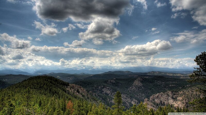Mountain Range with Forests