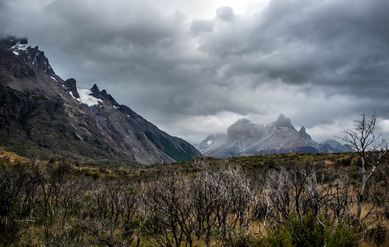 Mountain Range with Glaciers — Gray