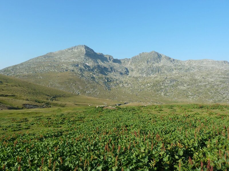 Mountain Range with Green Field — Serene
