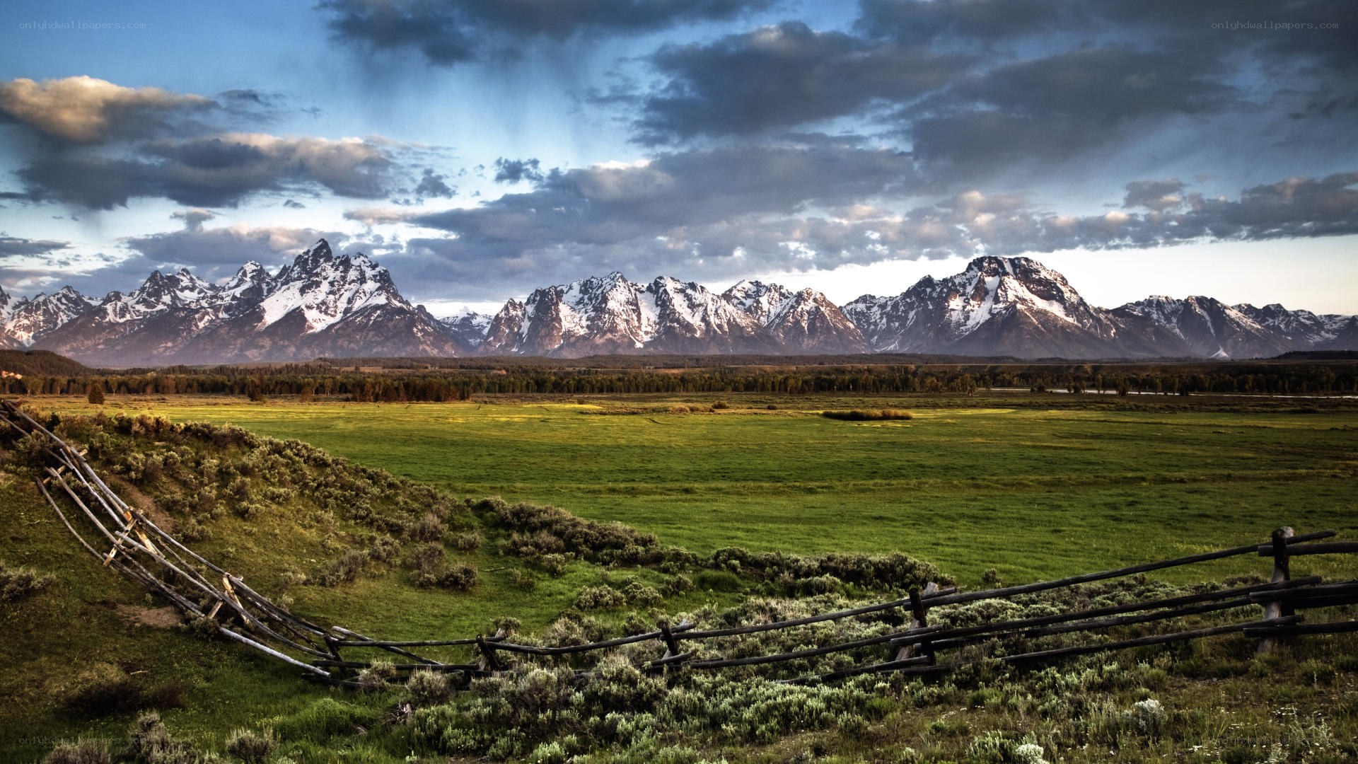 Mountain range with green field