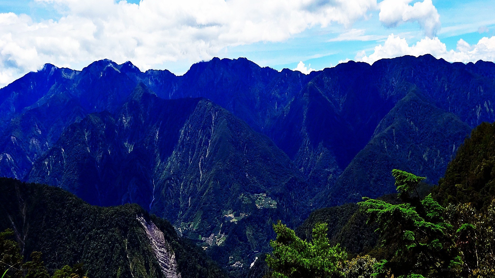 mountain range with green trees