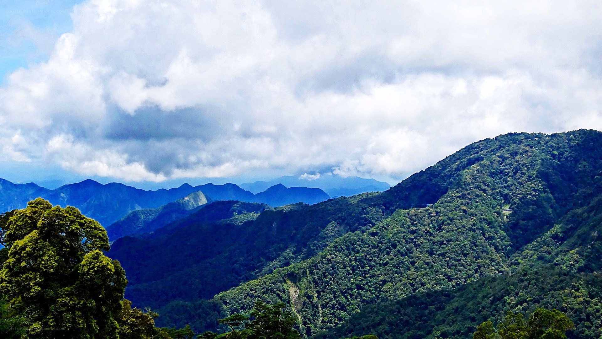 Mountain range with lush green forests