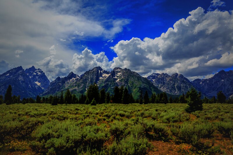 Mountain Range with Meadow — Blue