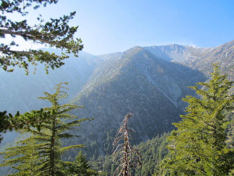 Mountain Range with Pine Trees — Green