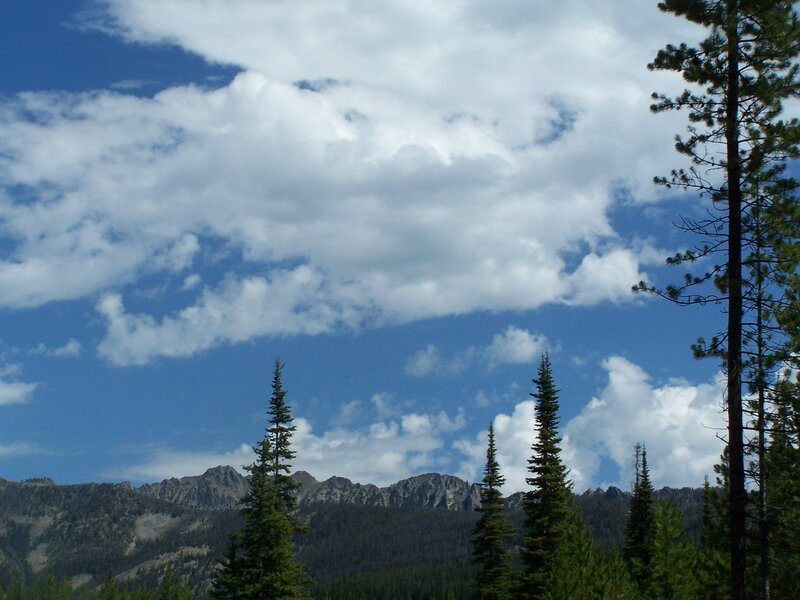 Mountain Range with Pine Trees