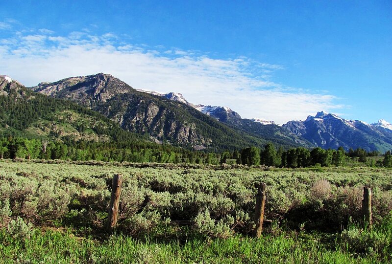 Mountain Range with Sagebrush