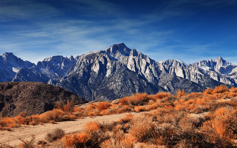 Mountain Range with Shrubs — Blue, Dramatic