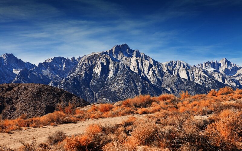 Mountain Range with Shrubs — Blue, Serene
