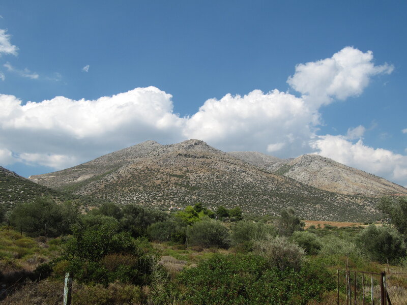 Mountain Range with Shrubs — Blue