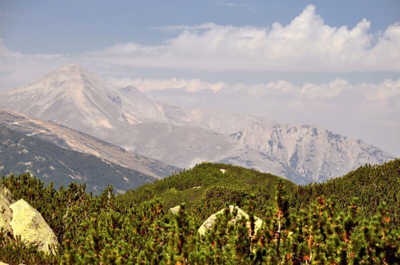 Mountain Range with Shrubs — Green