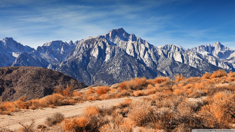 Mountain Range with Shrubs — Orange