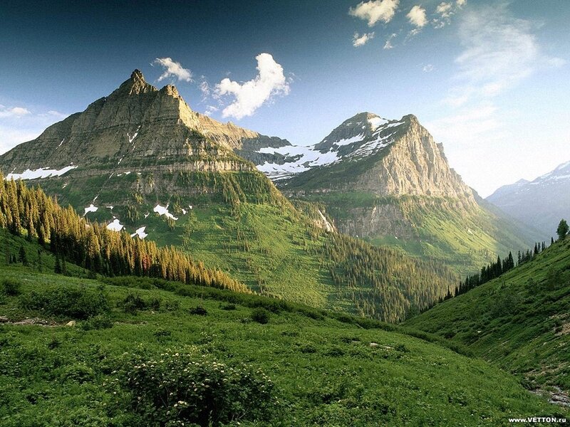 Mountain Range with Snow — Green