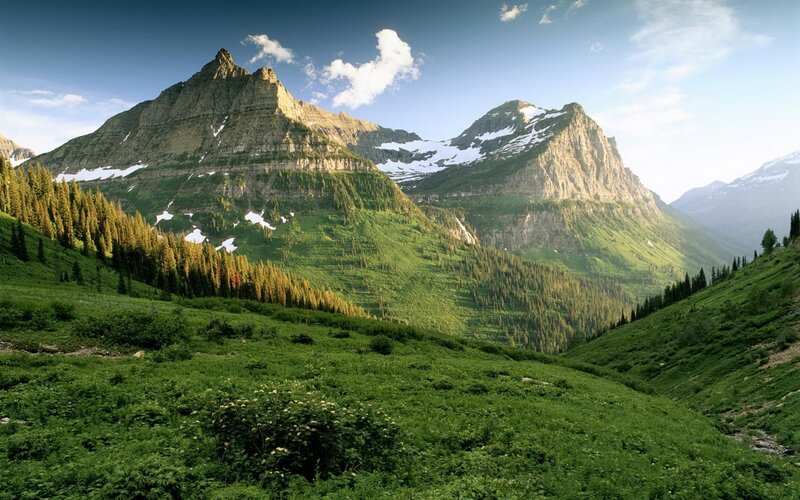 Mountain Range with Snow — Trees